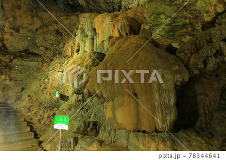 【山口県】秋芳洞の鍾乳石 【山口県】秋芳洞の鍾乳石 78344641