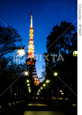 夜の東京タワー 78344721