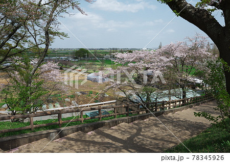 あけぼの山農業公園 78345926