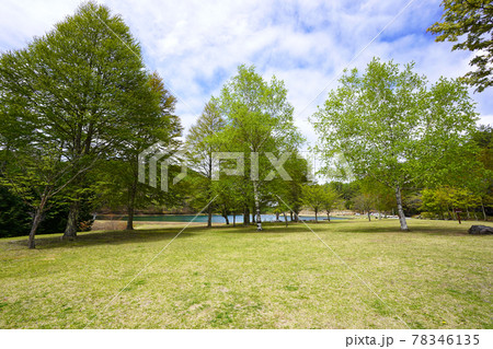蓼の海公園 78346135