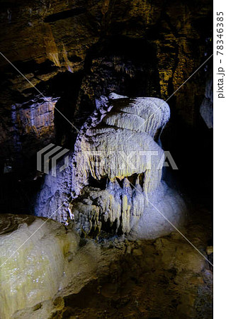 ベルギー アンの洞窟(caves of Han) 鍾乳洞の石筍 78346385