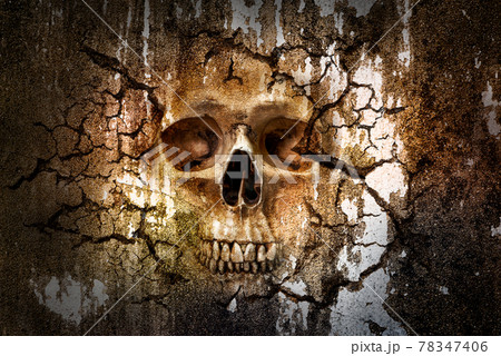 Skull pattern on cracked wall Skull pattern on cracked wall 78347406