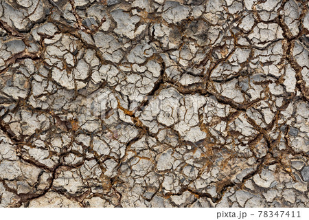Cracked soil texture 78347411