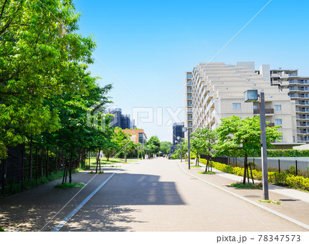 マンションが建ち並ぶ住宅街 マンションが建ち並ぶ住宅街 78347573