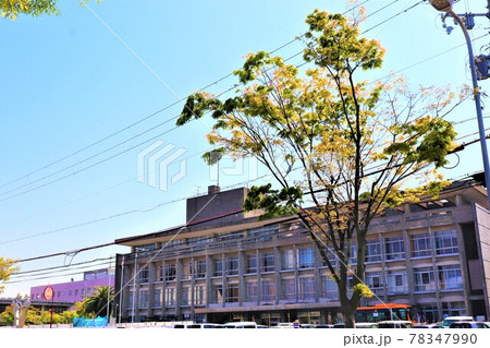 貝塚市役所周辺の風景 貝塚市役所周辺の風景 78347990