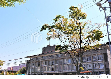 貝塚市役所周辺の風景 貝塚市役所周辺の風景 78347991