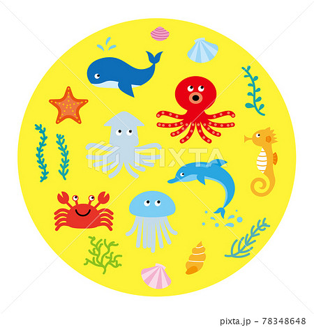 海の生き物のベクターイラストのセット 78348648