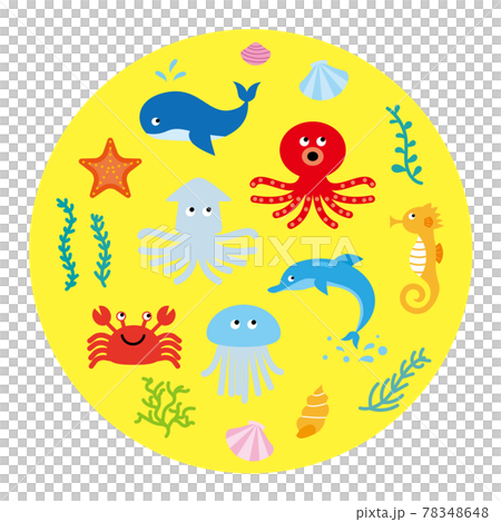 海の生き物のベクターイラストのセット 78348648
