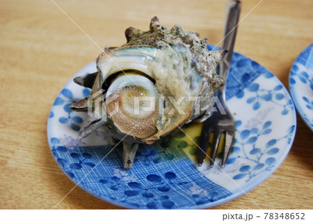 美味しいサザエ 78348652