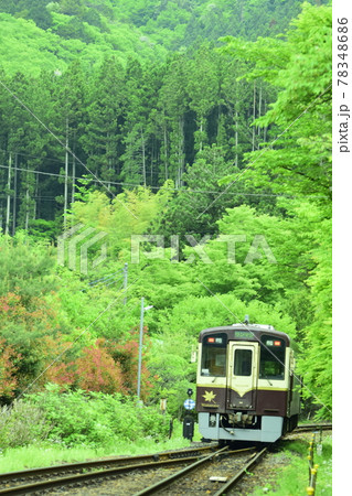 群馬 新緑の中を走る列車 群馬 新緑の中を走る列車 78348686