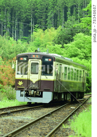 群馬　新緑の中を走る列車 78348687