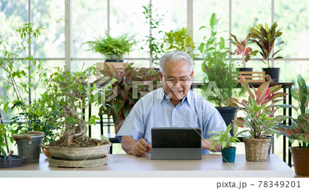 A retired old man use wireless communication via a tablet computer to inquire about indoor garden care from botanist. The morning atmosphere in the greenhouse planting room. 78349201