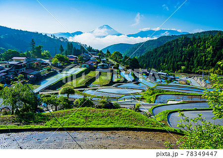 (山梨県)平林の棚田と富士山 (山梨県)平林の棚田と富士山 78349447