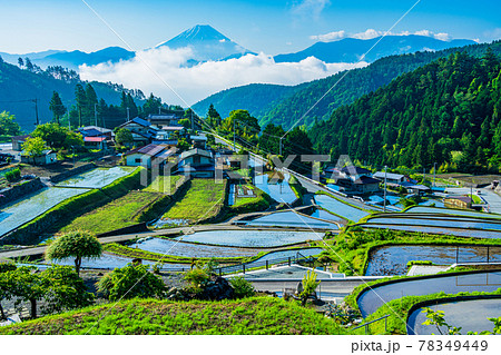 (山梨県)平林の棚田と富士山 (山梨県)平林の棚田と富士山 78349449