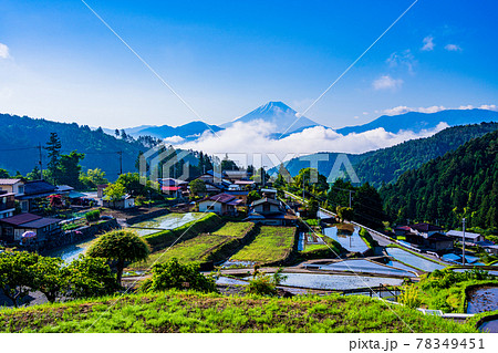 (山梨県)平林の棚田と富士山 (山梨県)平林の棚田と富士山 78349451