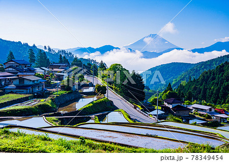 （山梨県）平林の棚田と富士山 78349454