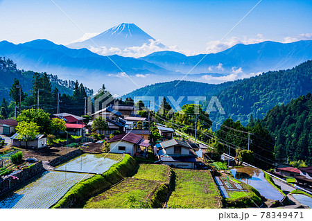 （山梨県）平林の棚田と富士山 78349471