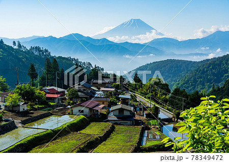 （山梨県）平林の棚田と富士山 78349472