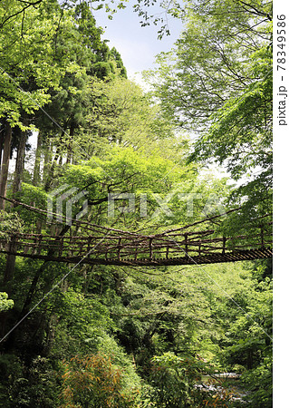 越前池田町のかずら橋（福井県 池田町） 78349586