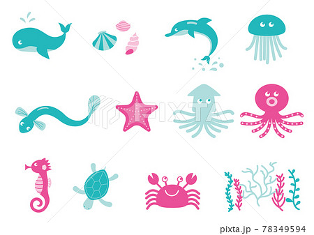 海の生き物のベクターイラストのセット 78349594