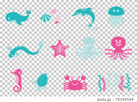 海の生き物のベクターイラストのセット 78349594