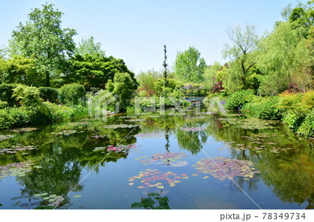 高知県のモネの庭の池 78349734
