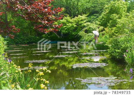 高知県のモネの庭の水の庭風景 78349735