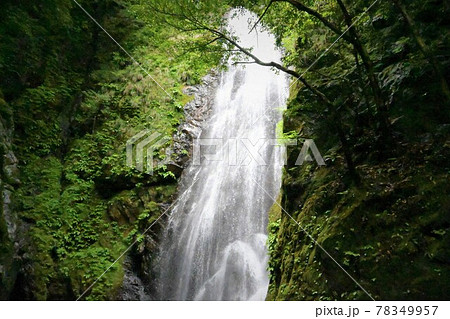 徳島県の百間滝全景縦写真 徳島県の百間滝全景縦写真 78349957