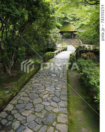京都 新緑の法然院 京都 新緑の法然院 78350254