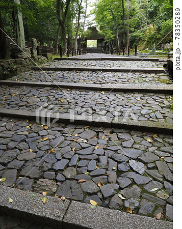 京都 新緑の法然院 京都 新緑の法然院 78350289