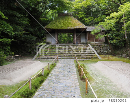 京都　新緑の法然院 78350291