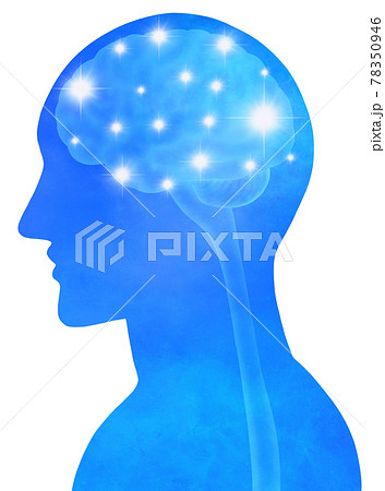 可能性を感じる神秘的な脳と横顔のイメージ 78350946