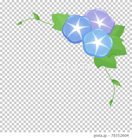 かわいい朝顔のフレーム イラスト素材 コーナーのイラスト素材