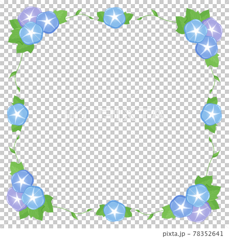 かわいい朝顔のフレーム イラスト素材 正方形のイラスト素材