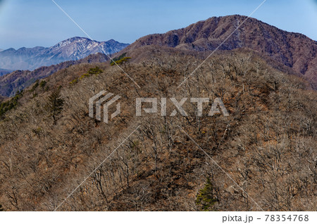 本社ヶ丸から見る清八山・黒岳と毛無山 78354768