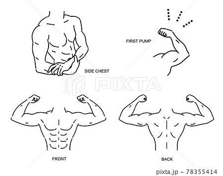 筋肉がある男性の上半身のベクターイラスト セットのイラスト素材