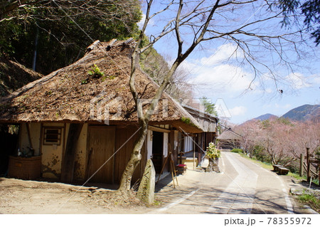 熊野古道中辺路の風景 とがのき茶屋跡(継桜王子付近) 熊野古道中辺路の風景 とがのき茶屋跡(継桜王子付近) 78355972