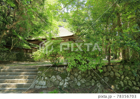 観心寺 開山堂 観心寺 開山堂 78356703