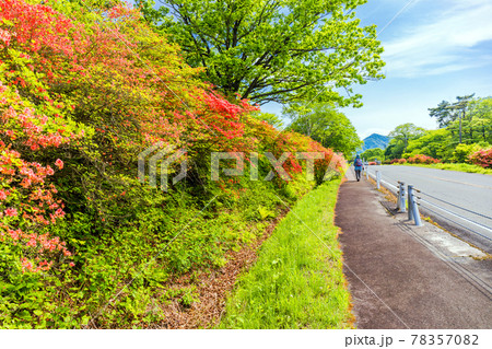 ヤセオネ峠から榛名富士 78357082