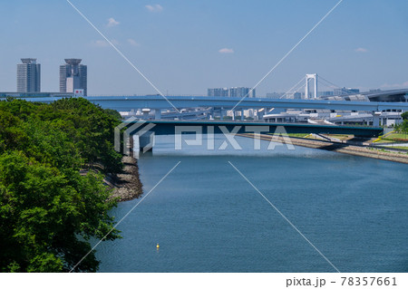 東雲運河の森 東雲運河の森 78357661