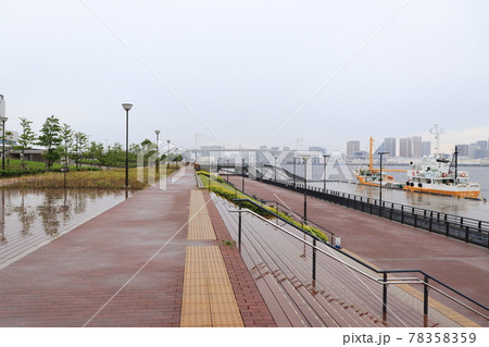 梅雨空の豊洲ぐるり公園 梅雨空の豊洲ぐるり公園 78358359