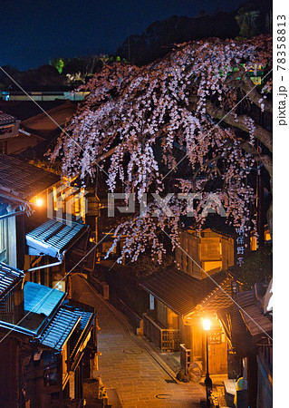 産寧坂のしだれ桜 78358813