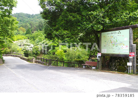 広島緑化公園の景色 広島緑化公園の景色 78359185