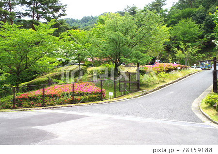 広島緑化植物公園レストハウスのアプローチの景色 78359188