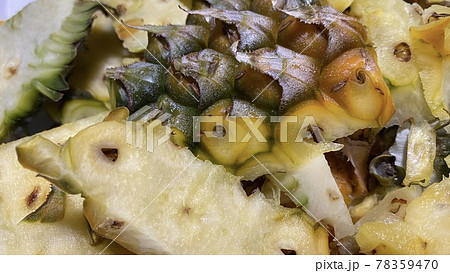 パイナップルを切ったときに発生する生ゴミ 78359470