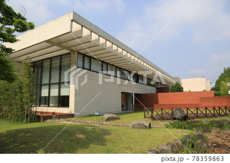 晴れ 植物 竹 78359863