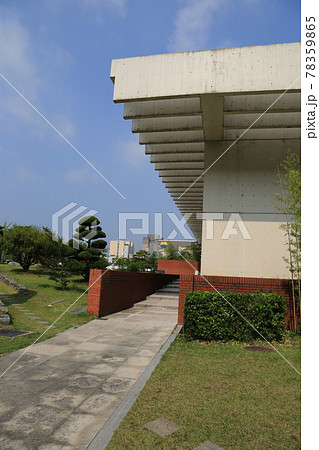 植物 公園 竹 78359865