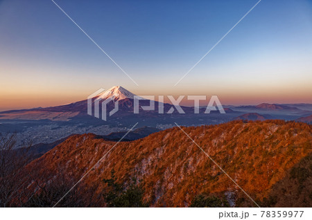 三ツ峠から見る朝焼けの富士山 78359977