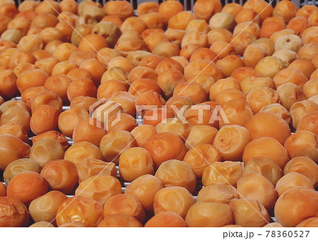 紀州、越生、秋間の農家で梅干し作り風景です。 78360527