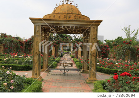 東京 花 アジサイ 78360694